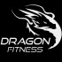 Dragon Fitness