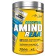 Bigjoy Amino Reaal 420g