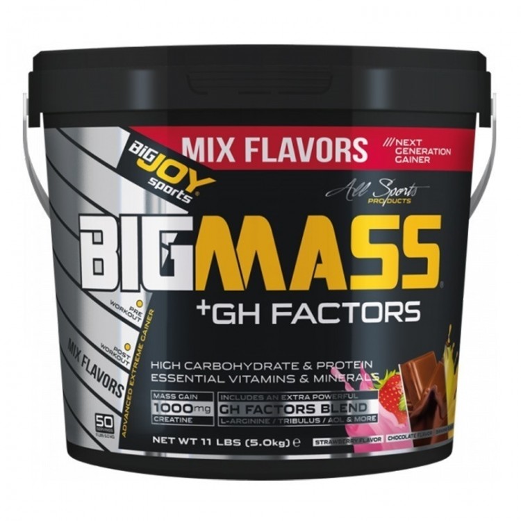 Bigjoy Bigmass GH Factor Gainer 5000 Gr