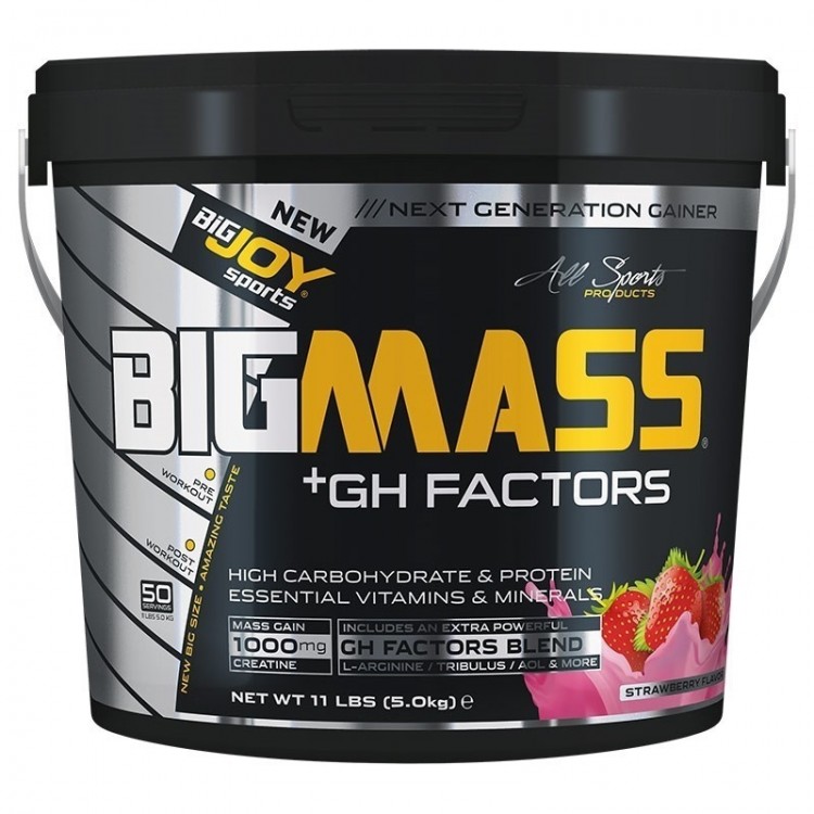 Bigjoy Bigmass GH Factor Gainer 5000 Gr