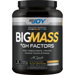 Bigjoy Bigmass GH Factor Gainer 15000 Gr