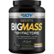 Bigjoy Bigmass GH Factor Gainer 15000 Gr